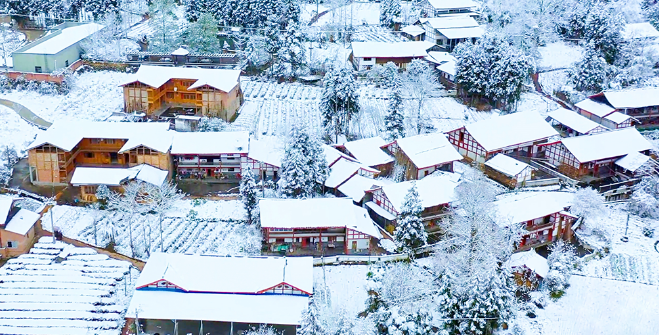 2024.1.29 | 四川住建资讯(图1)
